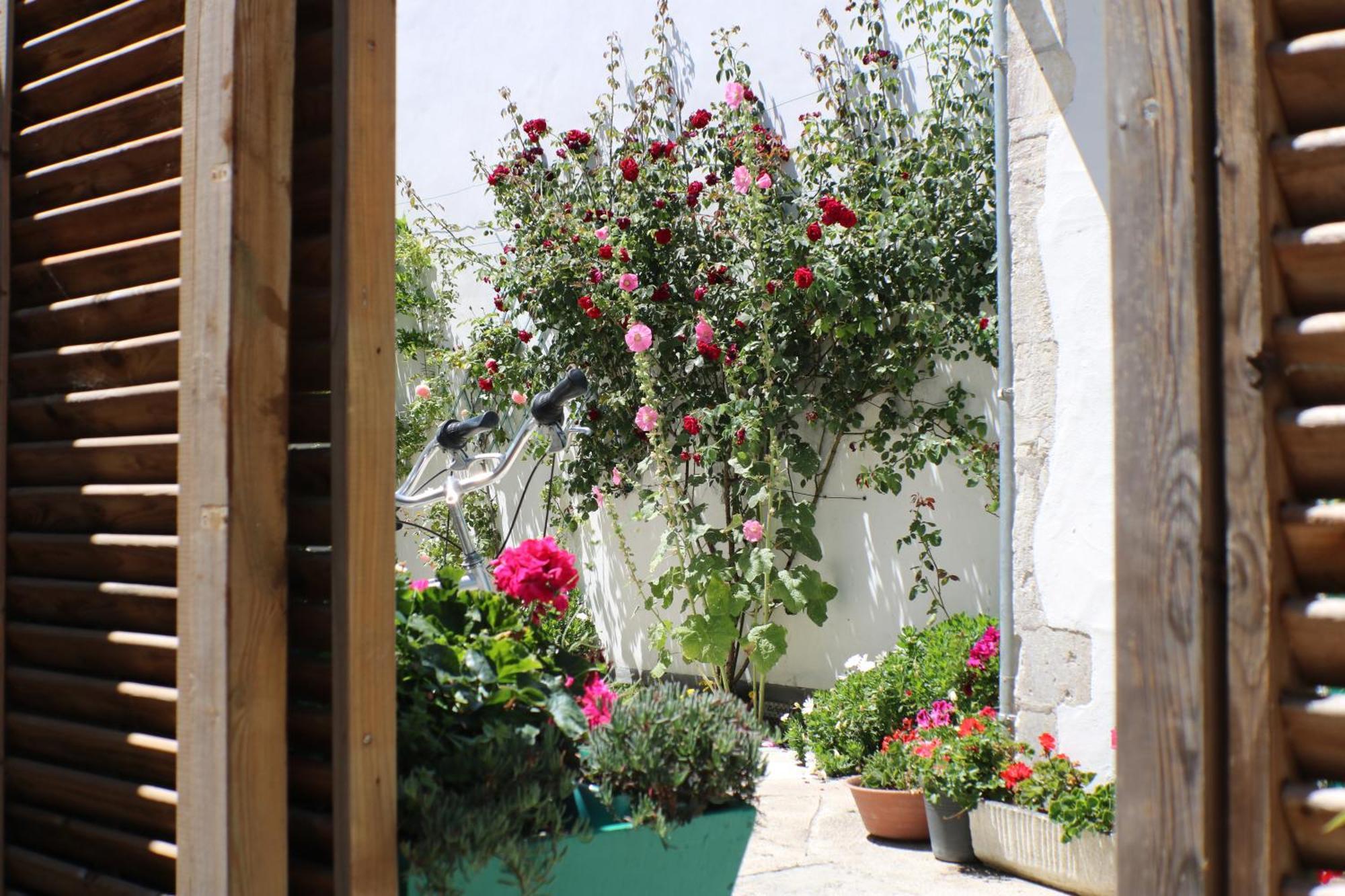 Ferienwohnung Beau T3 *** Pour 2 A 4 Pers Avec Patio Privatif La Couarde-sur-Mer Exterior foto
