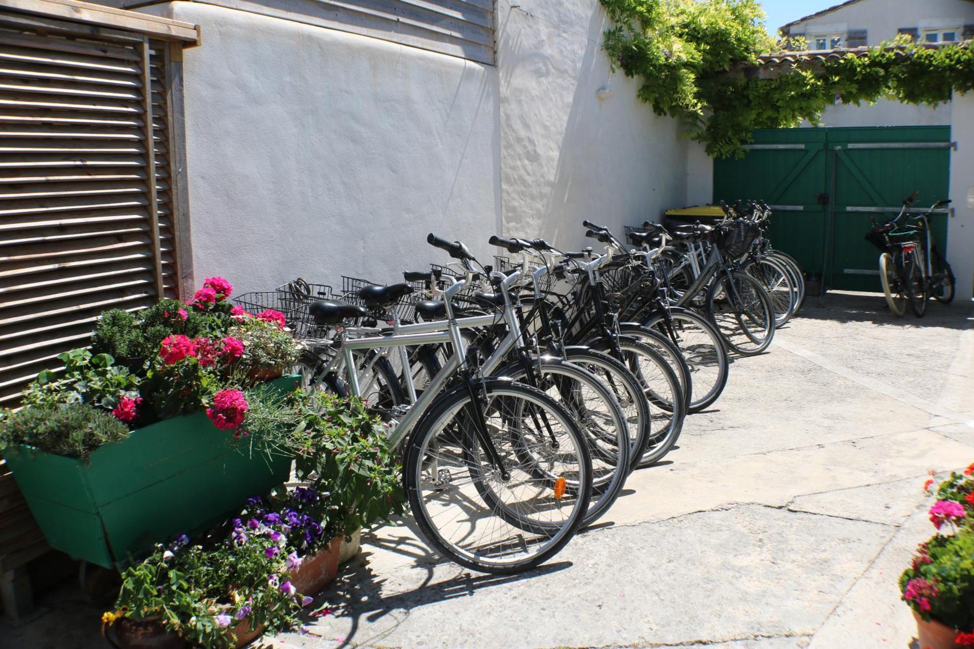 Ferienwohnung Beau T3 *** Pour 2 A 4 Pers Avec Patio Privatif La Couarde-sur-Mer Exterior foto